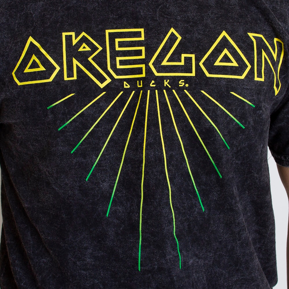 Ducks Spirit, Summit, Grey, Crew Neck, Men, Unisex, Mineral Wash, Def Leppard, T-Shirt, 501252